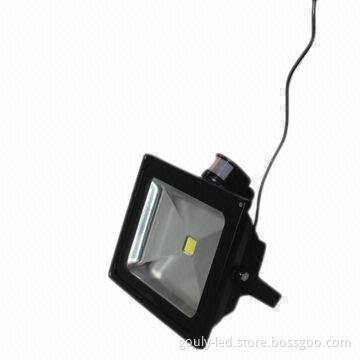 100W LED Floodlight, 85-265V AC/12V DC (Can by Choose) and IP65 Outdoor